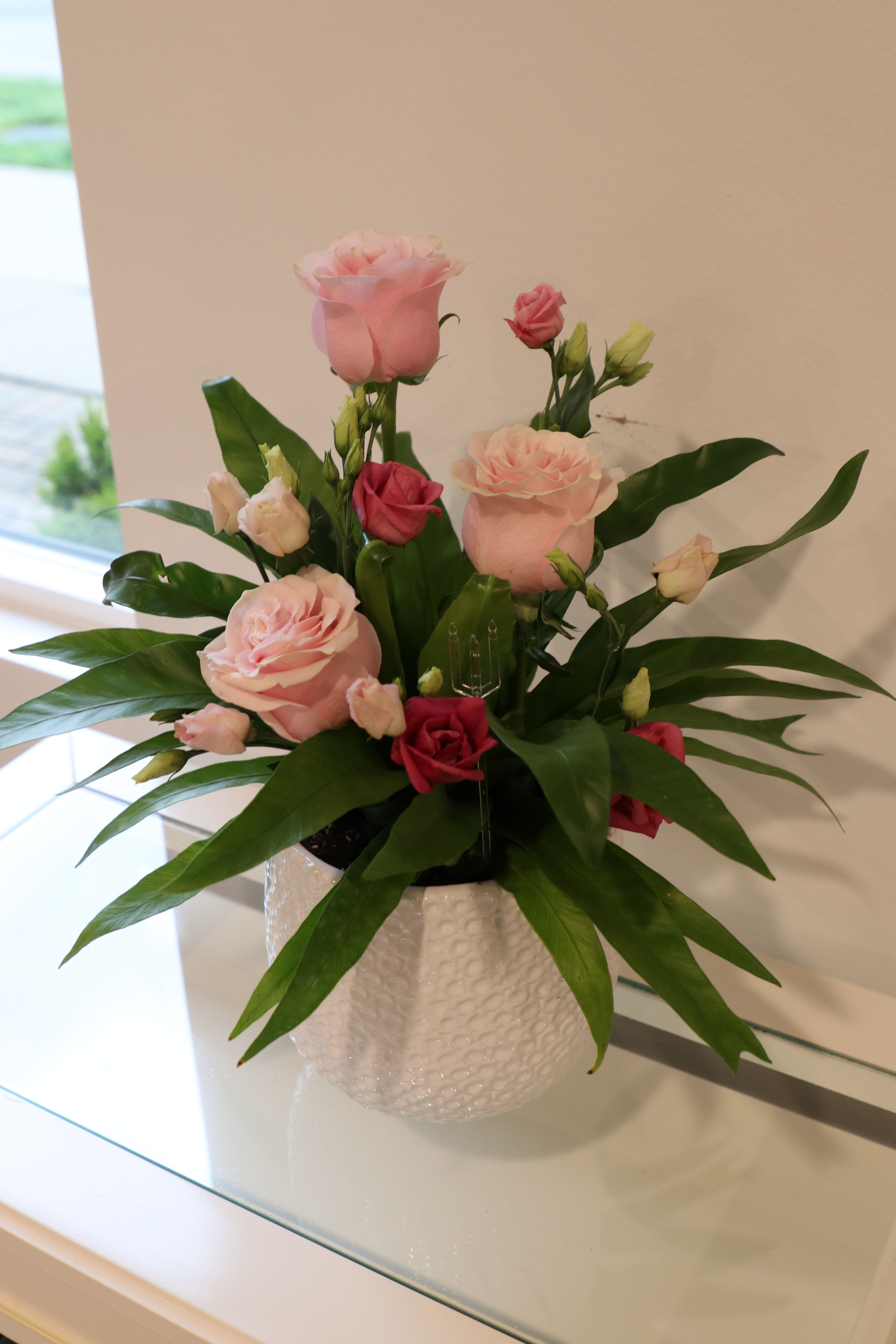 Plant w/ Fresh Flowers