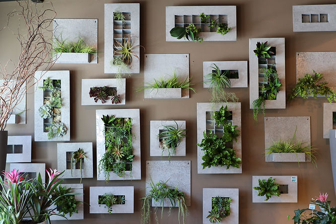 1N Decor is a retail store in downtown Frankfort, IL next to the Trolley Barn. We have quality, timeless home goods, seasonal decor, plants, candles, special gifts, and more. Inside you can find a Bokay Flowers cooler with premade floral arrangements.