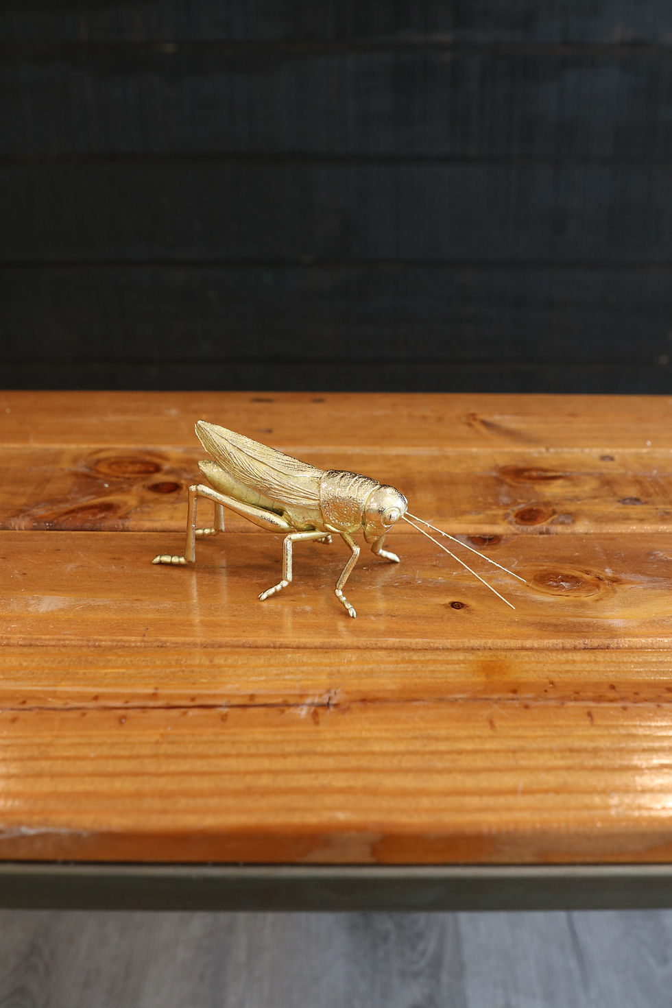 Gold Grasshopper