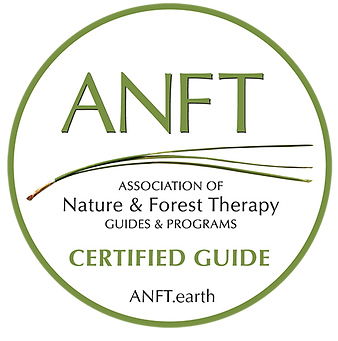 ANFT_CERTIFIED GUIDE_url_150ppi.png
