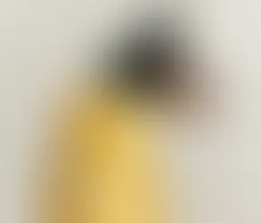 Kith expande su universo hacia el petwear con su primera colaboración junto a wagwear,