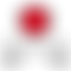 BLOG EDUCATIVO: EL CEREBRO DEL NIÑO EXPLICADO A LOS PADRES. ÁLVARO BILBAO