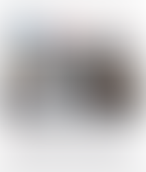 Passerelle 81 dans La Dépêche