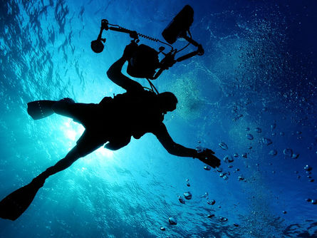 The Important Role of Sport Tourism in the Growth of the Tourism Industry