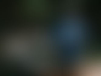 Sungai Watch: River Protection Movement