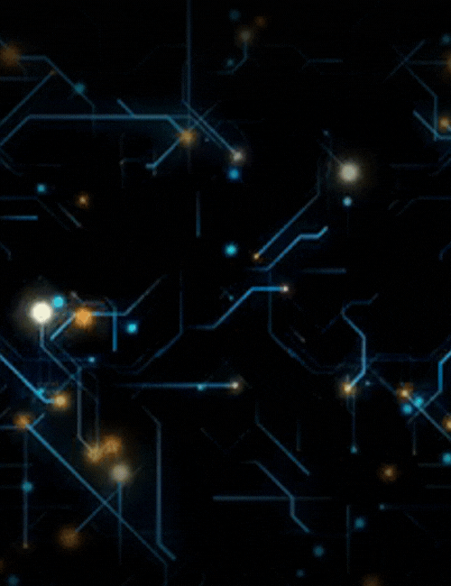 Digital Reports.gif