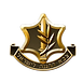צהל.png