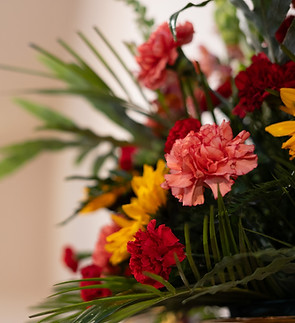 St Andrews Campus-70.jpg