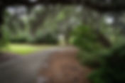 A Walk with Friends in Airlie Gardens