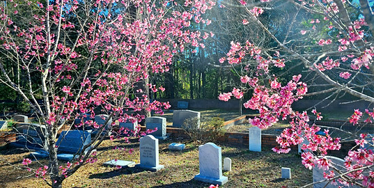 exterior cemetery graveyard_edited.jpg