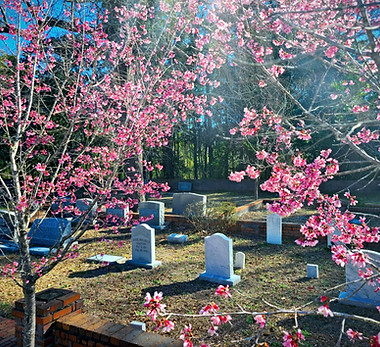 exterior cemetery graveyard_edited.jpg