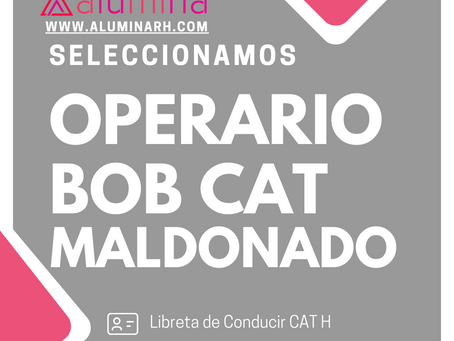 FINALIZADO! OPERARIO BOB CAT - MALDONADO
