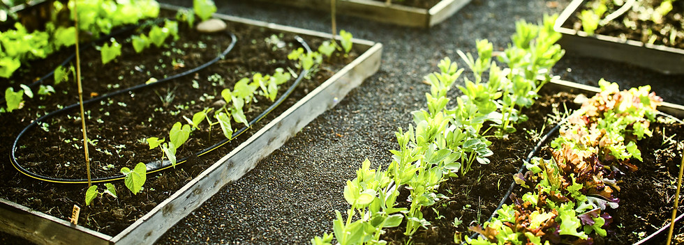 Gardening