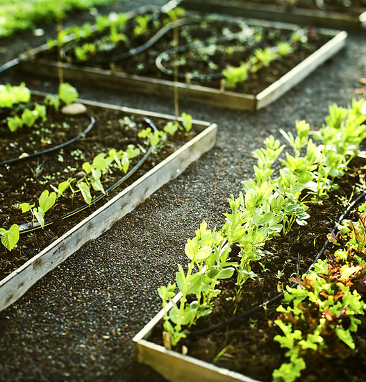 Gardening