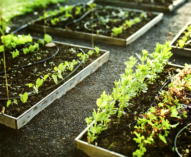 Gardening