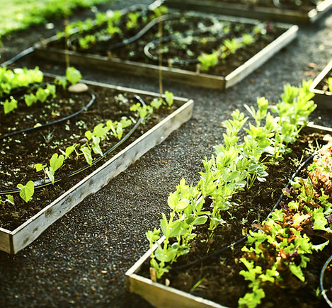 Gardening