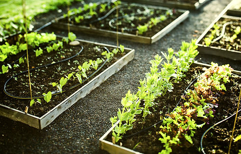 Gardening
