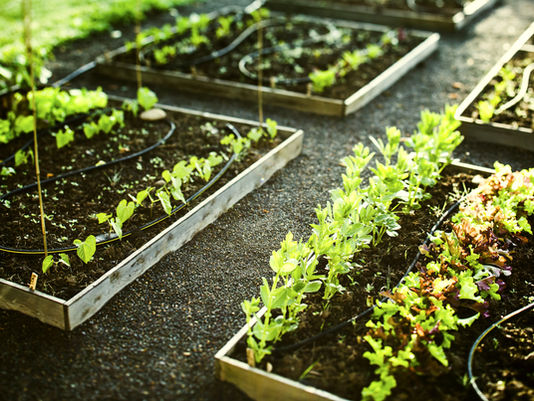 April is Garden Month