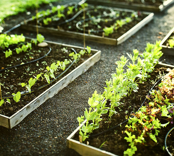 Gardening