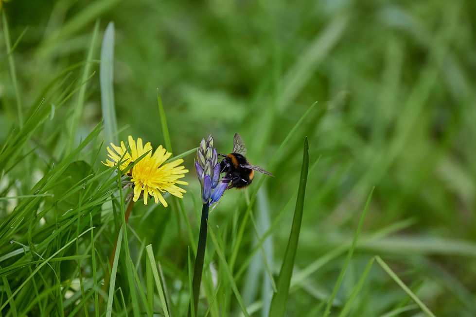 wix-230423-16041_web