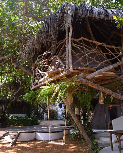 4ce0eff3-f262-4a3a-9d26-ca1e86b26476 2.JPG