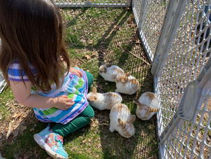 0823AF8F-0815-4DBA-A84D-8521743E80B6.jpeg