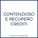 CONTENZIOSO.png
