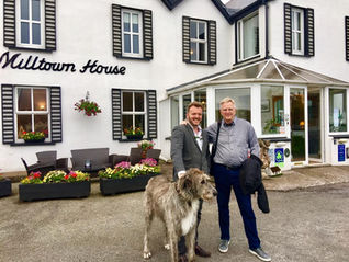 Essential Ireland Tour Reviews - our favourites