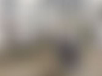 Essential Ireland Tour Reviews - our favourites