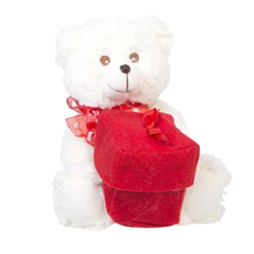 Miniatura: OSO 21CM CAMISETA / CAJA / SOBRE