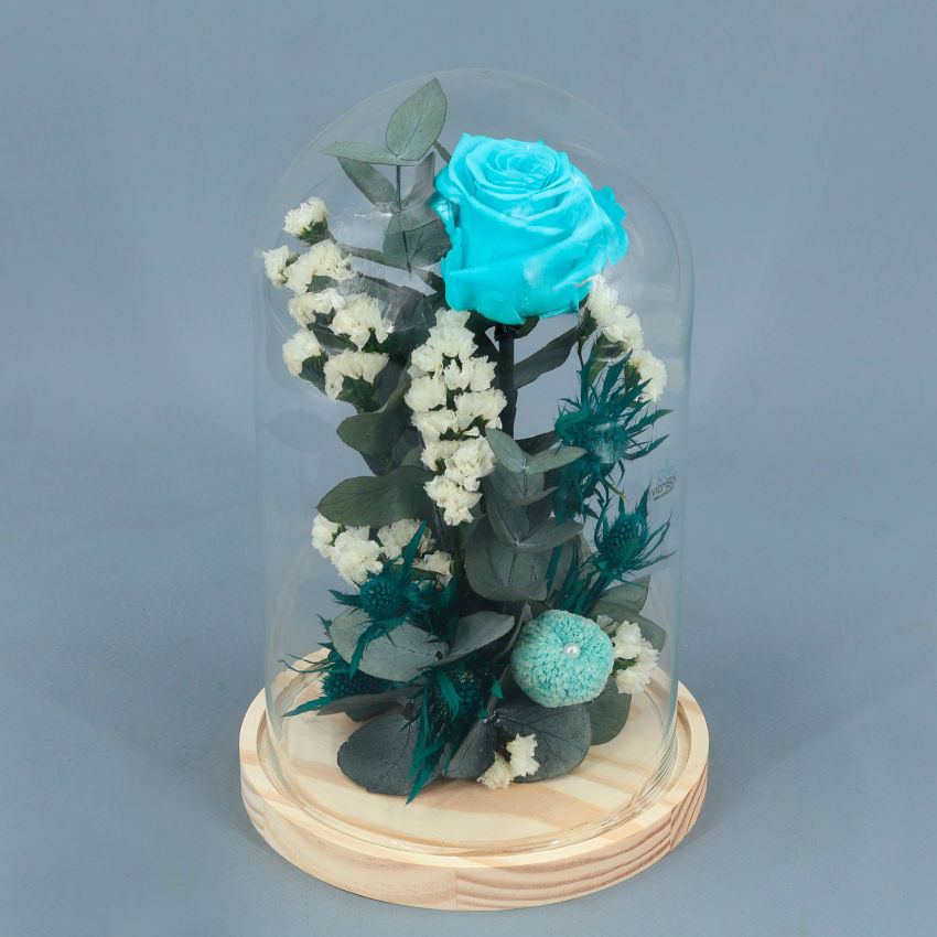 Miniatura: CUPULA ROSA ETERNA