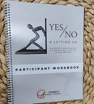 yes no workbook.jpg