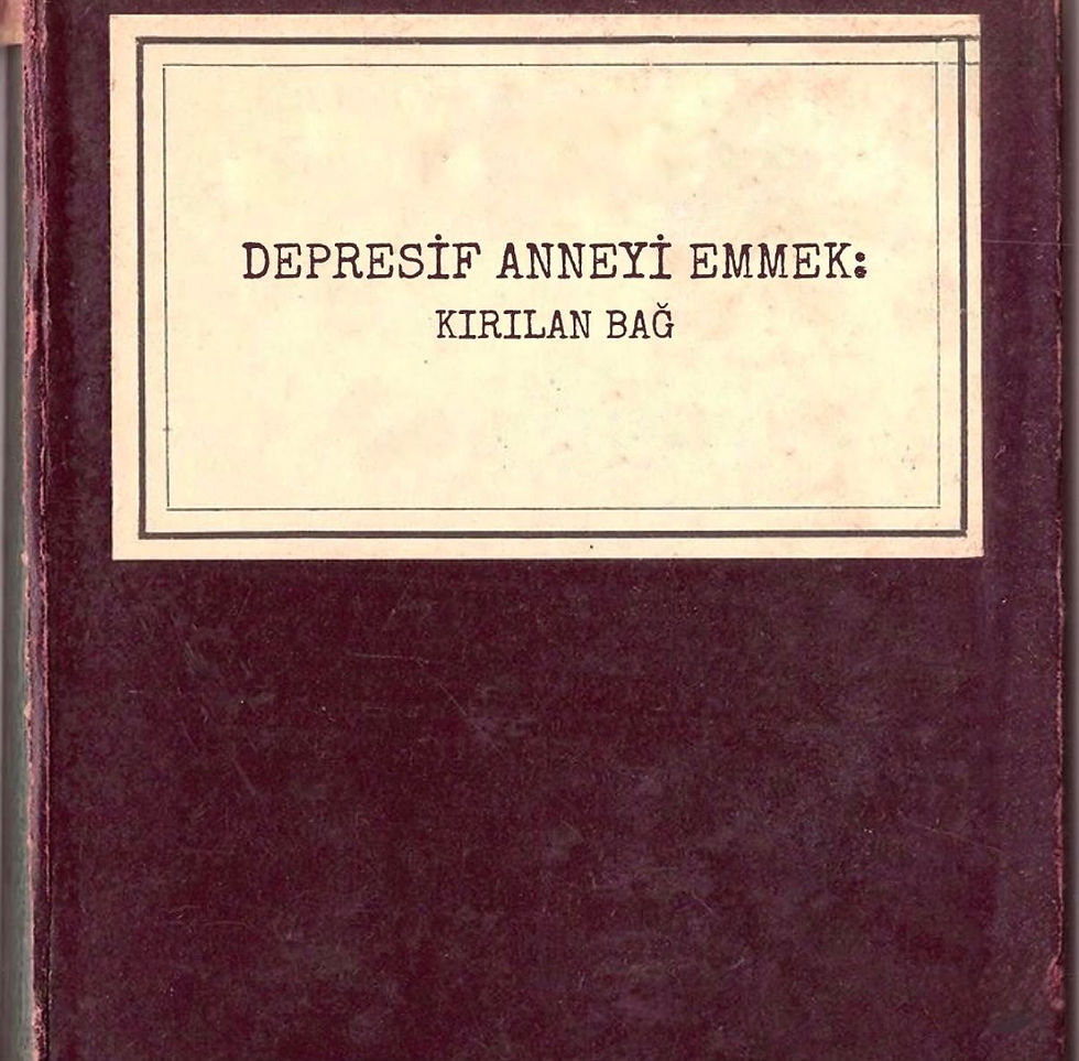 Ezgi Akkaya Yazıları - Psikoloji, Psikoterapi
