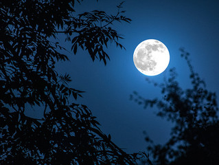 Blue Moon Hunting