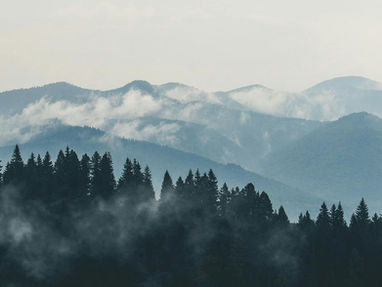 Naming the Wilderness
