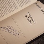 En dessous de l'arbre.jpeg