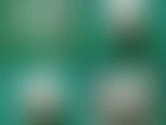 人形の頭の作り方　その１