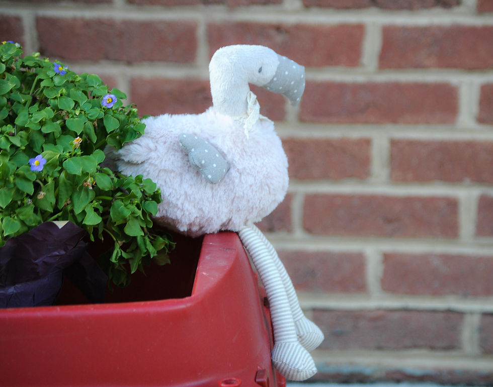 Thumbnail: Plush Flamingo Toy