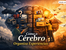 🧩 Como Seu Cérebro Organiza Experiências