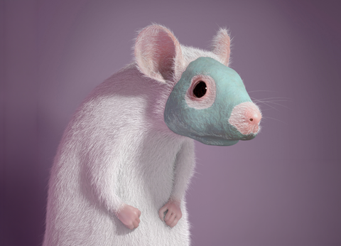 Gaia "Beauty Mouses"