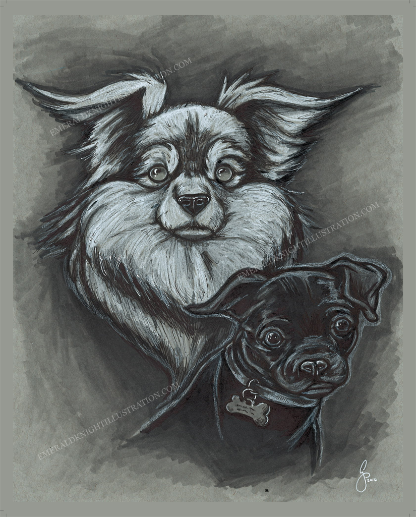 Rocky and Jynx