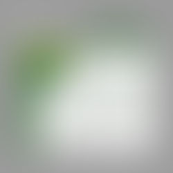 1月営業カレンダー