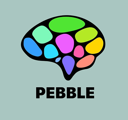 pebble_edited.jpg