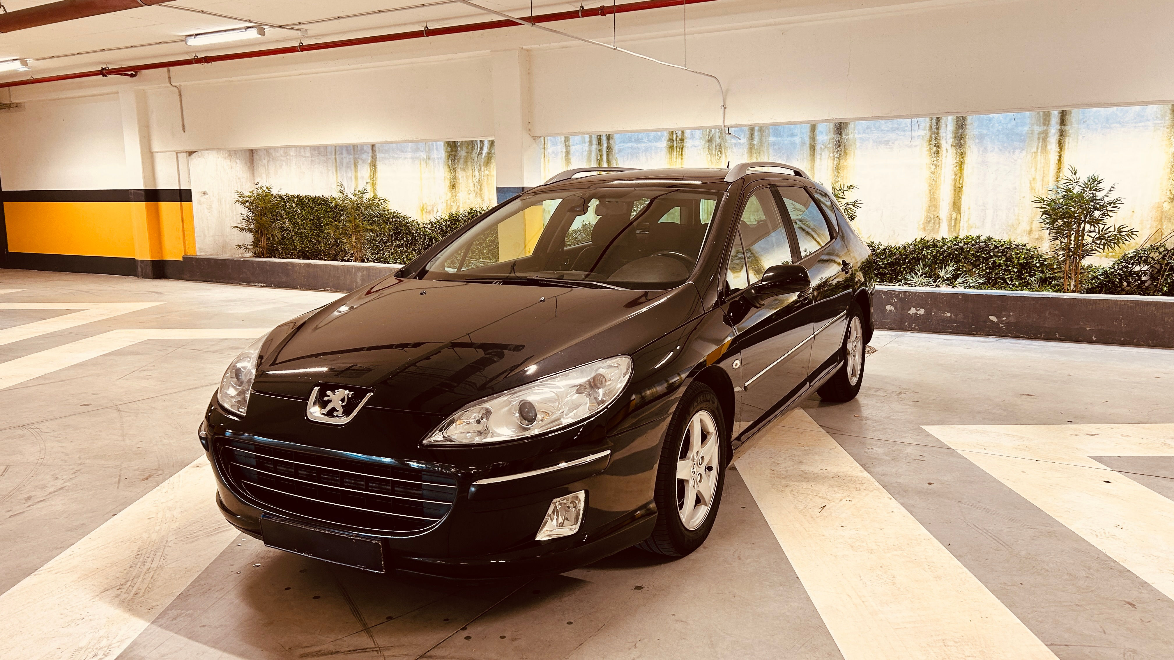 Peugeot 407 SW
