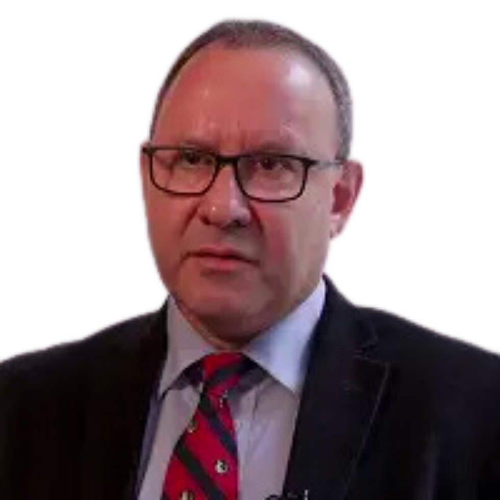 Prof. Martín Ellis
