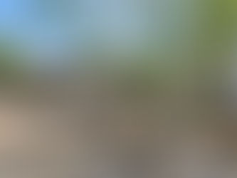 Iconic Eichler Atrium Home with Pool in Concord’s Parkwood Estates