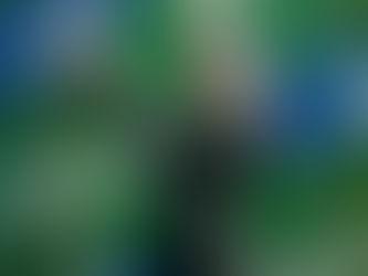 Chi è Payton Westcott, il nuovo volto di Mercedes in F1 ACADEMY 2026.