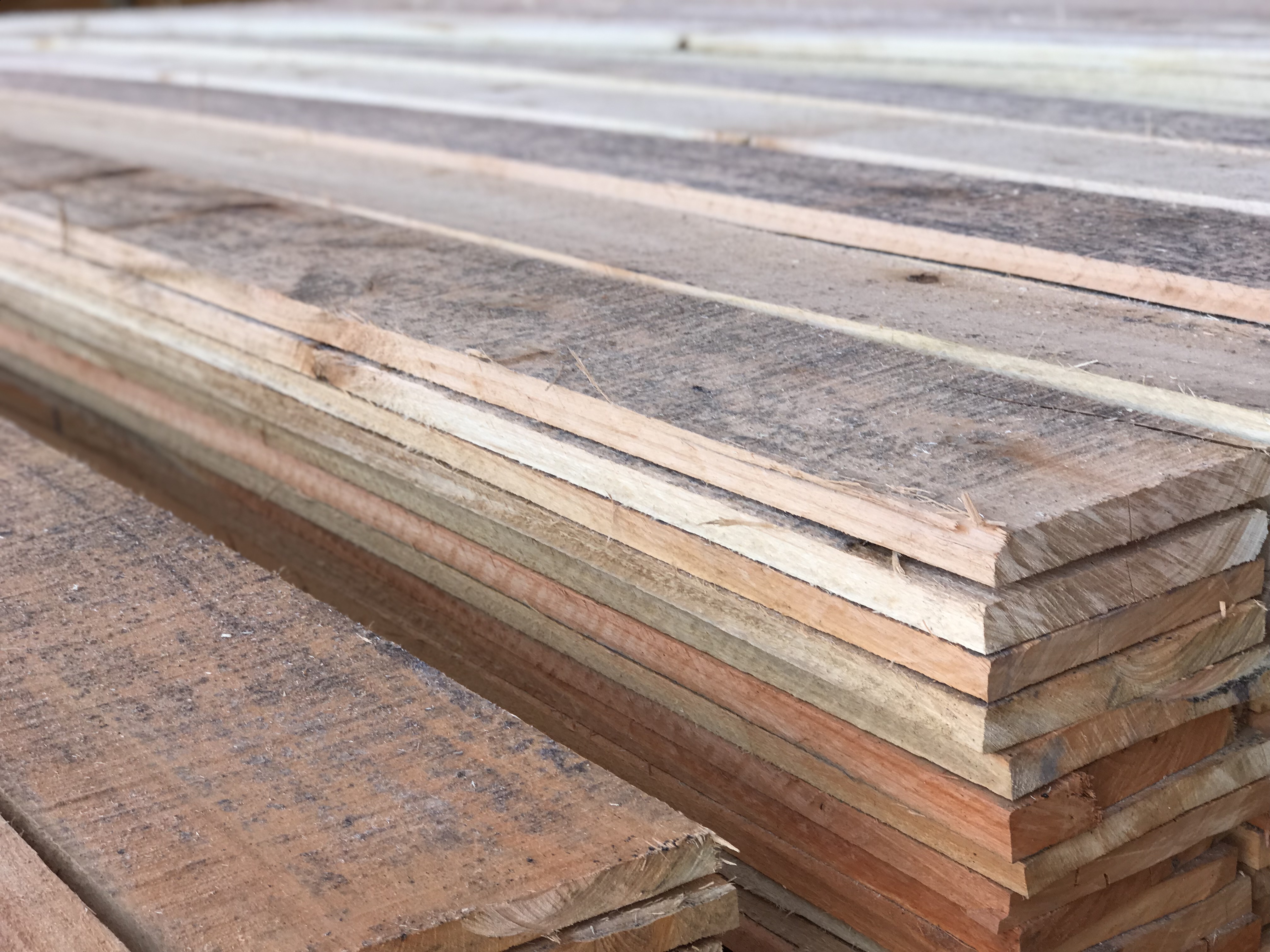 MOW BRAZIL MADE OF WOOD Lumber Export