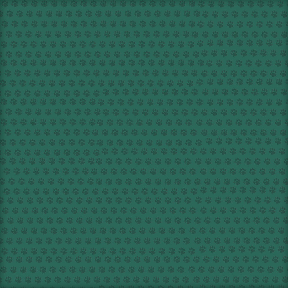 PBSC Paws Background.png