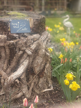 Feng  Shui Zauber als Gartenspezialistin
